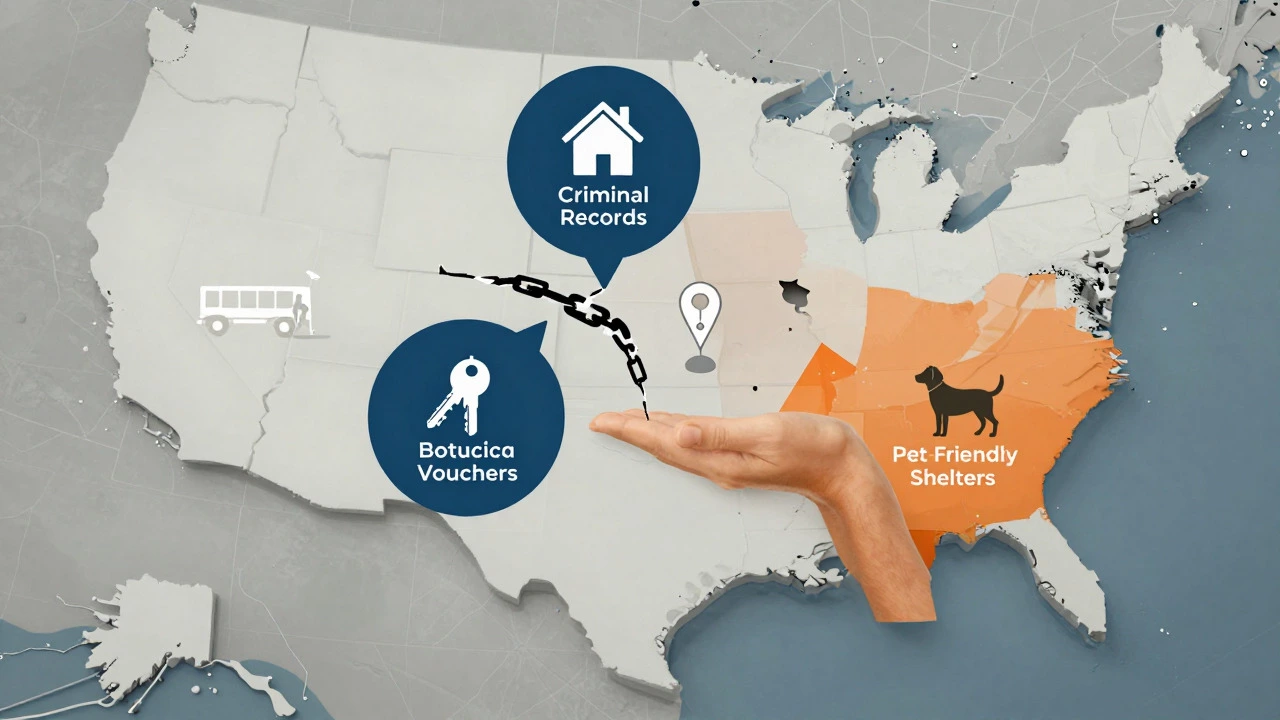 Conceptual map showing Texas housing barriers and resources